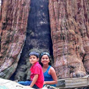 Meet your Posher, Al